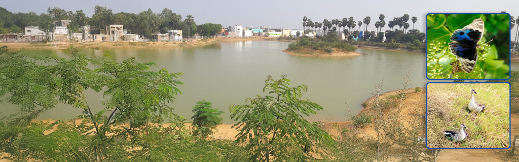Tata Communications Leads Nagan Thangal Lake Revival Into Thriving Ecosystem & Community Hub