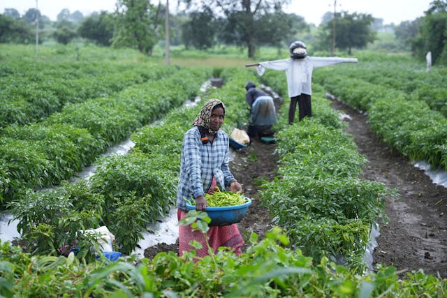 women in agriculture