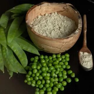 Plant-Based Nutrition